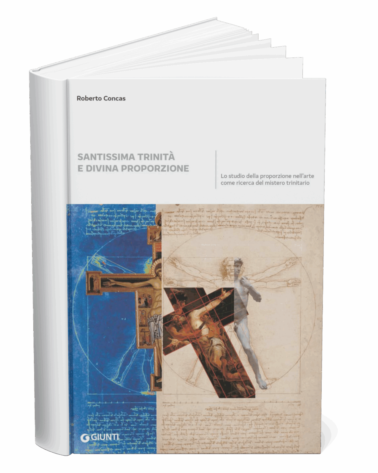 della DP rc25 mockup0